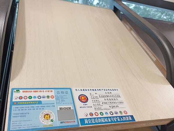 生态板定制衣柜成为家居市场新宠